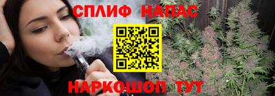шишки Балашиха