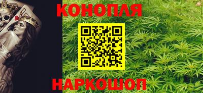 шишки Балашиха