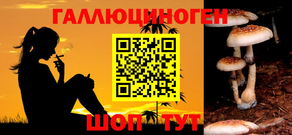 Воронеж  Галлюциногенные грибы Psilocybe  Вход с VPN 